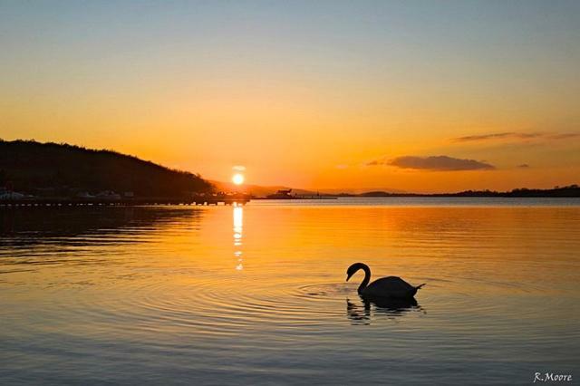 Kesh Lakeside Cottage Esterno foto